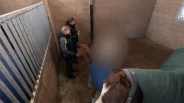 Tusenvis melder bekymring: – Krevende prioriteringer