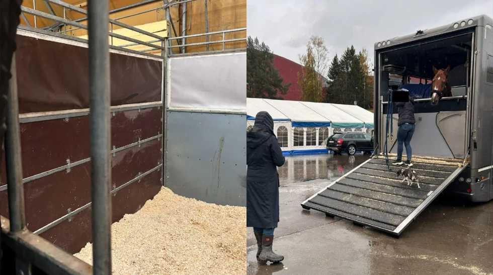 Mattilsynet førte tilsyn med Oslo Horse Show