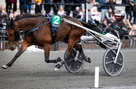 Kjendistraveren Express Go ubeseiret gjennom hele sesongen